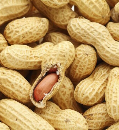 Arachide